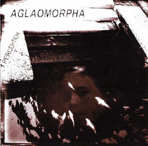 Aglaomorpha - Perception