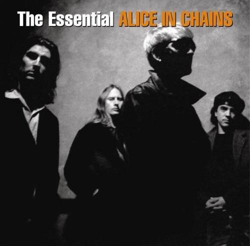 alice in chains official merchandise