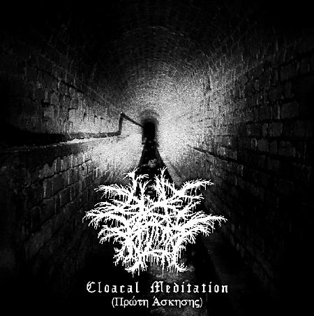 black bile