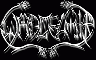  musical group 