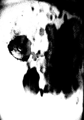 Like Drone Razors Through Flesh Sphere - Like Drone Razors Through Flesh Sphere Like Drone Razors Through Flesh Sphere - Like Drone Razors Through Flesh Sphere