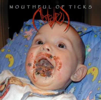 Photos Of Ticks