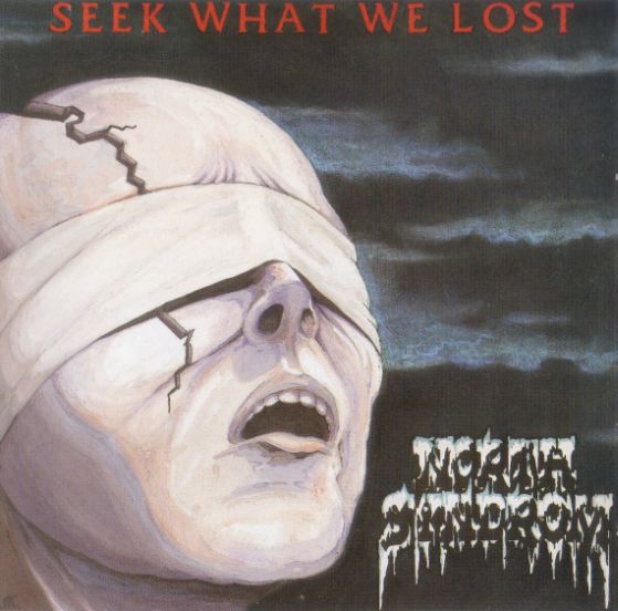 North Syndrom - Seek What We Lost