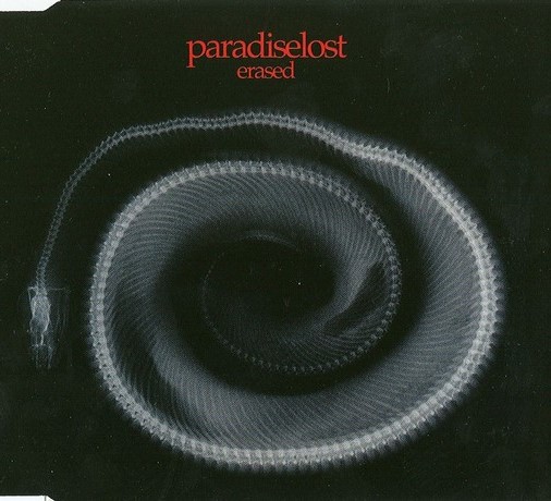 Erased cover (Click to see larger picture) Erased cover (Click to see larger picture)
