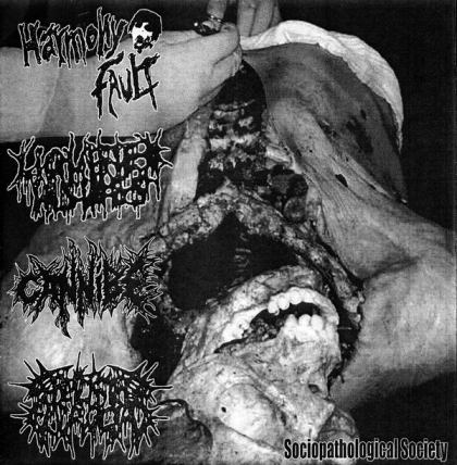 Harmony Fault / Cannibe / Necrobiose Escrotal - Sociopathological Society