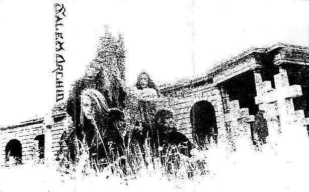 Click to zoom Salem Orchid - Demo 1991