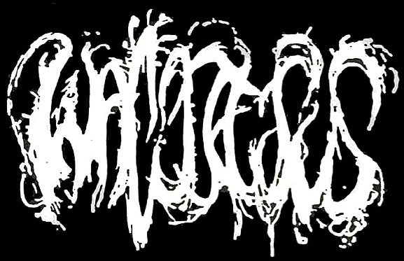  musical group 
