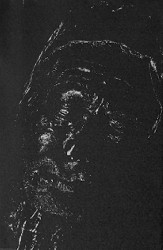 Bone Awl - Night Is Indifferent Bone Awl - Night Is Indifferent