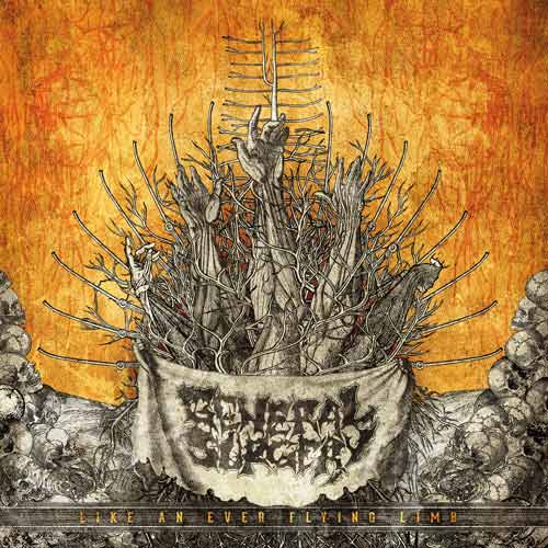 <br />General Surgery - Like an Ever Flying Limb