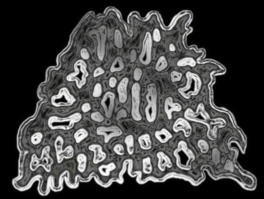 Top 15 de logos ilegibles de bandas de metal. Top 15 de logos ilegibles de bandas de metal.