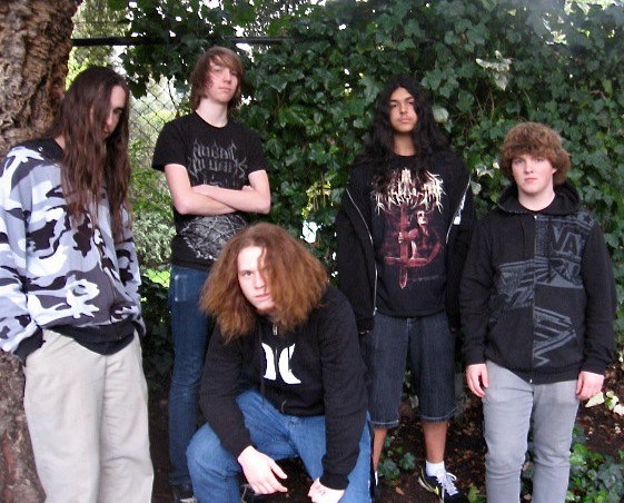 apothesary band