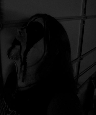 3540315082_photo.jpg?0129