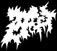 http://www.metal-archives.com/images/4/7/7/8/47781_logo.JPG