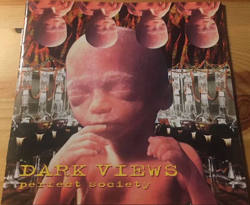 Dark Views - Perfect Society