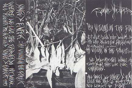 My Visions in the Forest cover (Click to see larger picture)