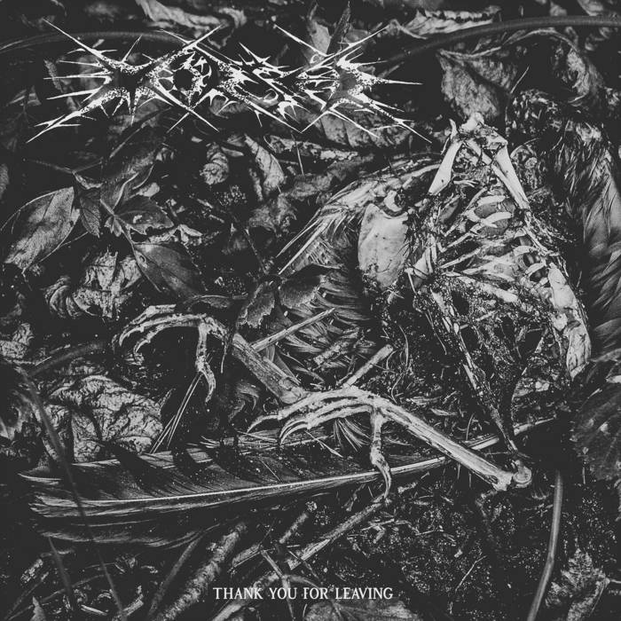 Mörser - Thank You for Leaving