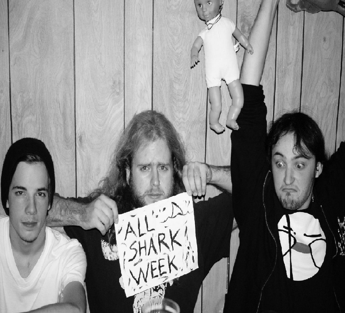 Anal Birth All Shark Week Encyclopaedia Metallum The Metal Archives