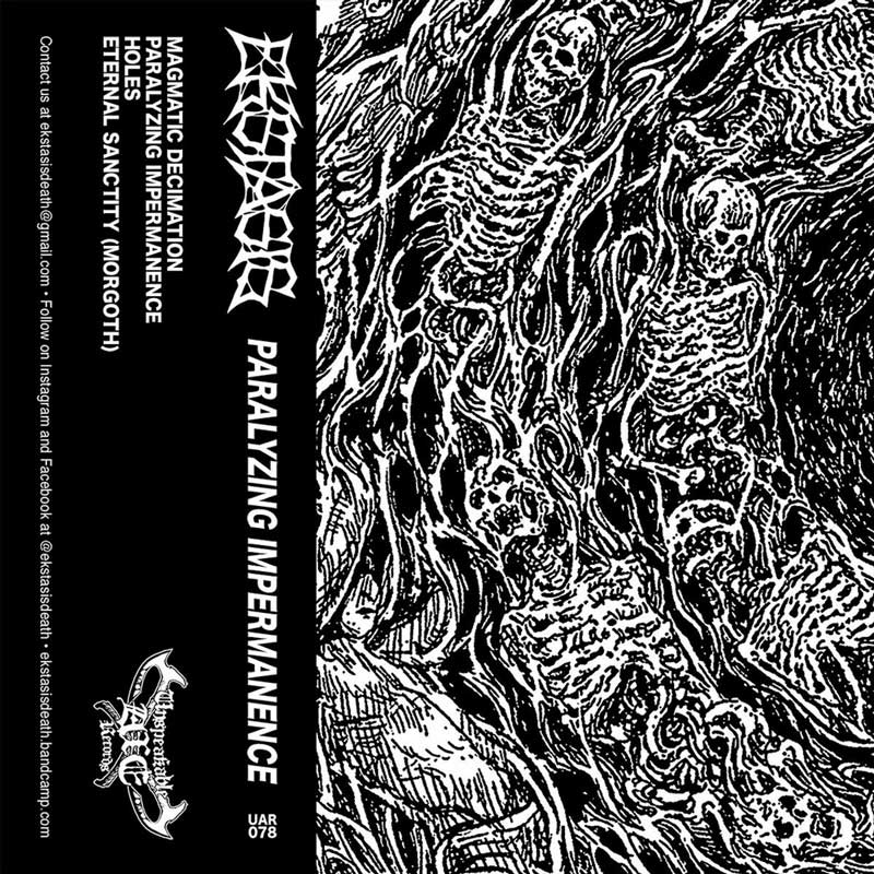 Обложка: Ekstasis — Paralyzing Impermanence