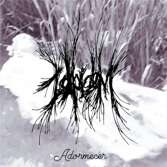 Zolpidem - Adormecer