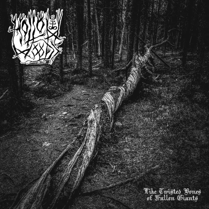 In the Woods - Encyclopaedia Metallum: The Metal Archives