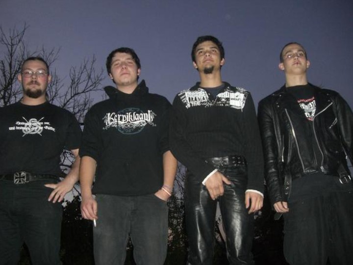 Borealis - Photo