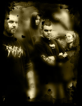 Graymalkin - Photo