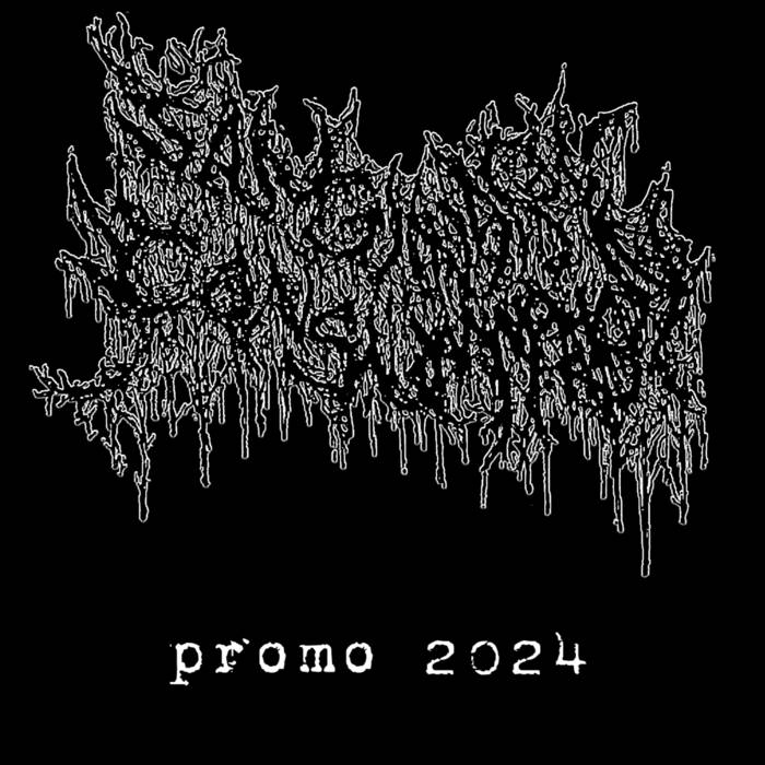 Sanguinary Consummation Promo 2024 Encyclopaedia Metallum The