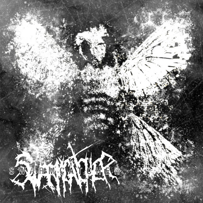Обложка: Swarmcatcher — Øsmia