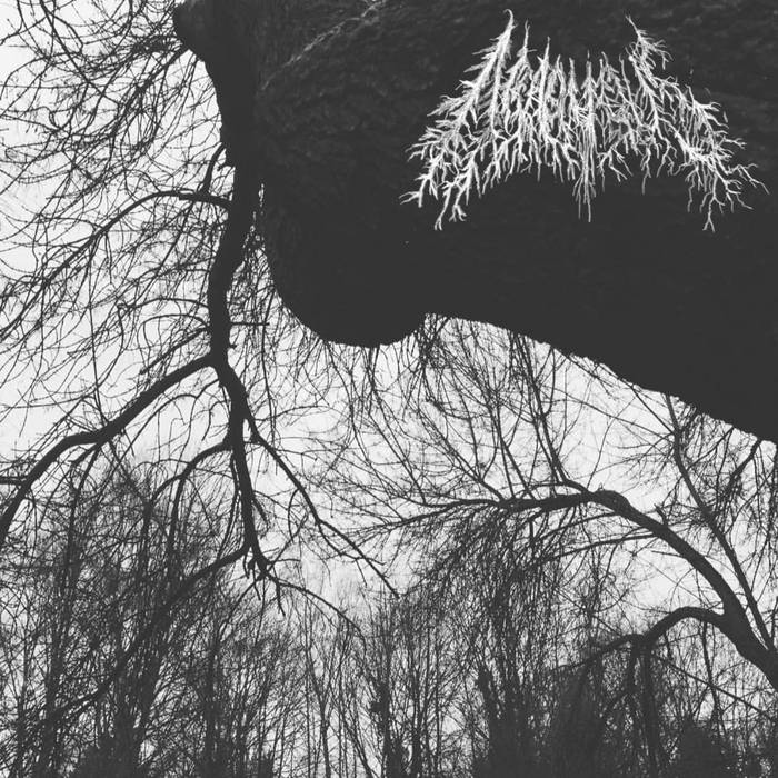Обложка: Araduous — Eternal Drowning, Infinite Joy