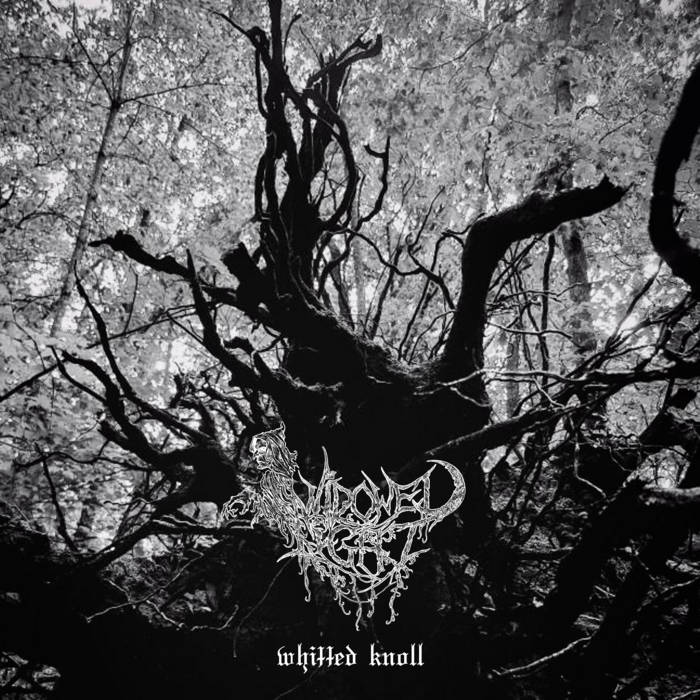 Обложка: Widowed Light — Whitted Knoll