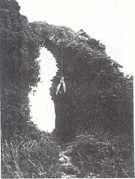Forest of Souls - Photo