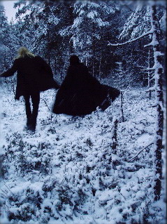 Velvet Cacoon - Photo