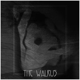 The Walruz - The Walrus