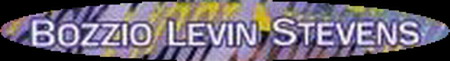 Bozzio Levin Stevens - Logo
