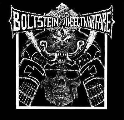 Insect Warfare / Bolt Stein - Bolt Stein / Insect Warfare