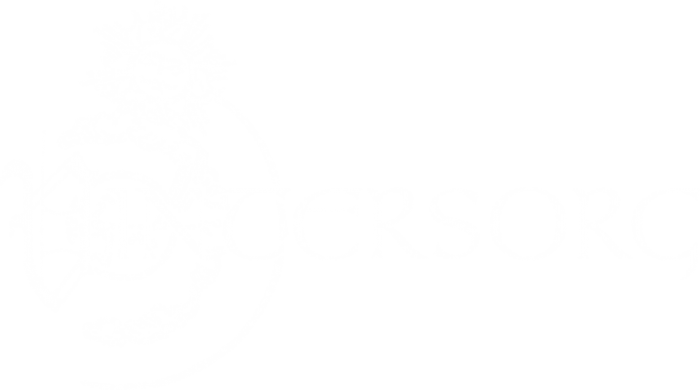 Vintersorg - Logo