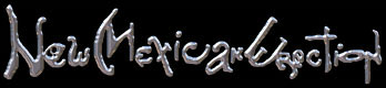New Mexican Erection - Logo