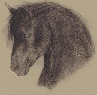 Skin Horse - Demo