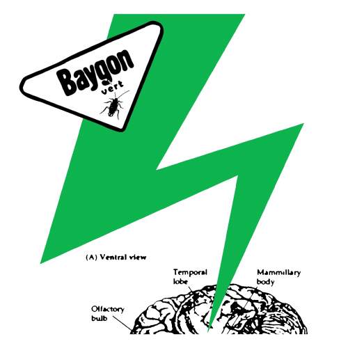 Baygon Vert - Baygon Vert