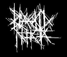 Blackid Nocta - Logo