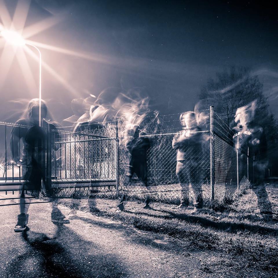 Dimæon - Photo