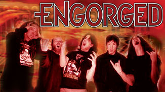 Engorged - Photo