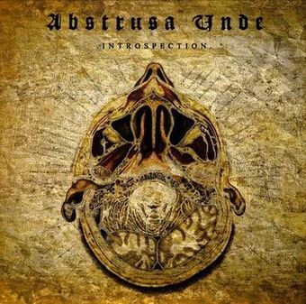 Обложка: Abstrusa Unde — Introspection