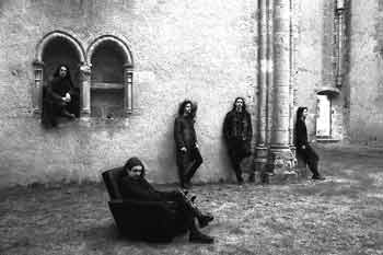 Apostasia - Photo