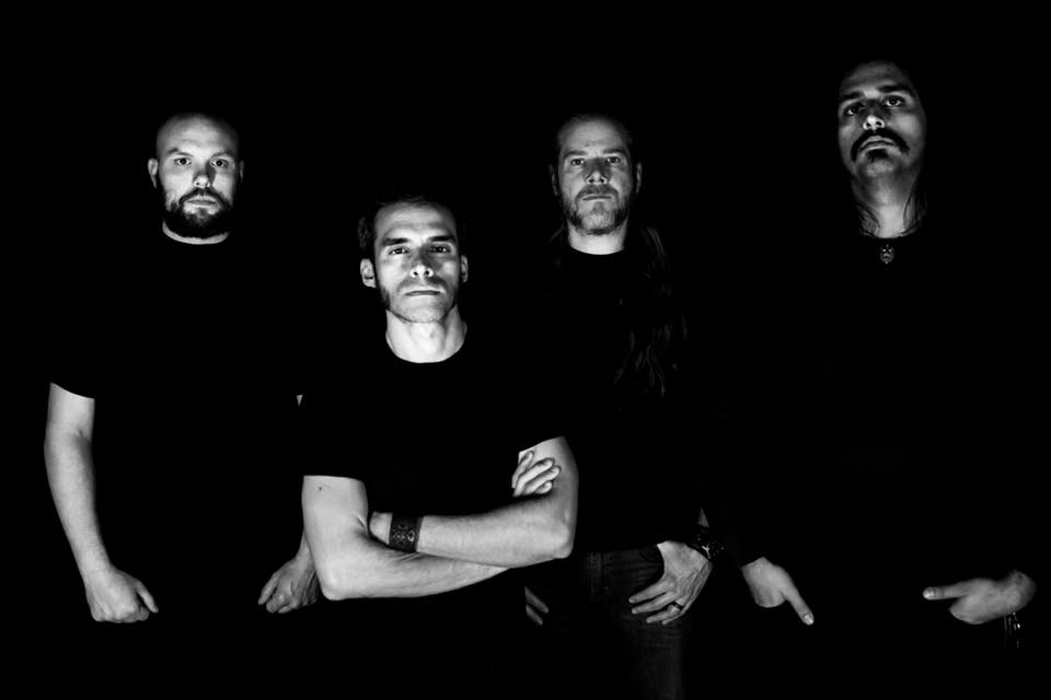 Withered - Photo