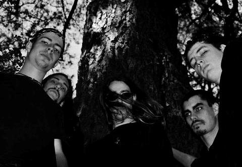 Intorment Black - Photo