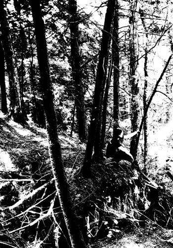 Mother Thule - Photo