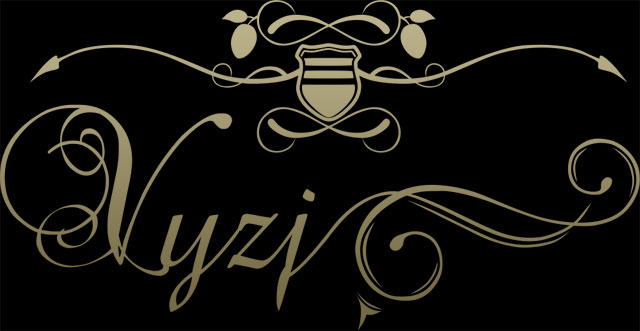 Vyzj - Logo