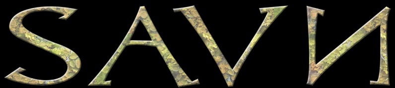 Savn - Logo