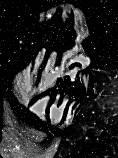 Nightsky Obsession - Photo
